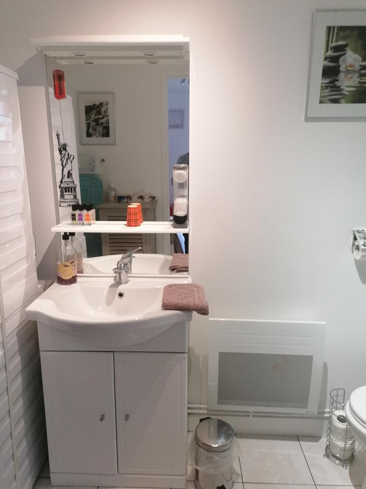 Le Petit Chalet -Appartement Proche De La Vieille Ville , Du Centre Ville Et Du Tram- Petit Dejeuner Offert Λε Μανς Εξωτερικό φωτογραφία